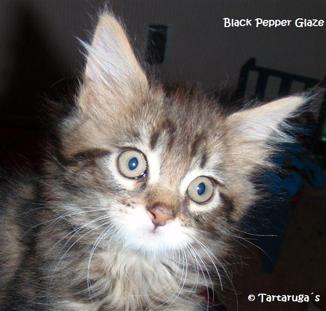 Black Pepper Glaze