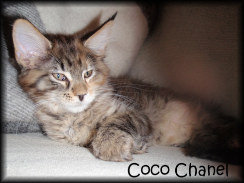 Coco Chanel